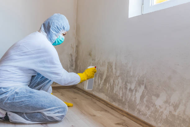 Hvac And Air Duct Mold Remediation inspection of HVAC system in Boxford